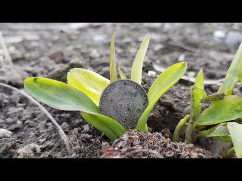 Der Bayern Sondler Teil 139 - Endlich wieder Silber