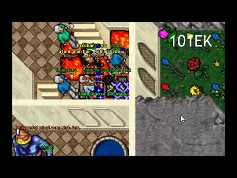 Tibia 8.0 PK Originaltibia.com