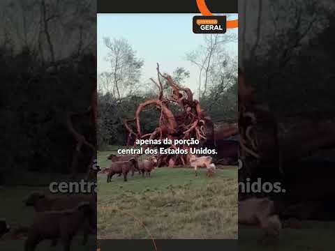RS teve 31 desastres relacionados a TORNADOS desde 1991 | Chamada Geral 2