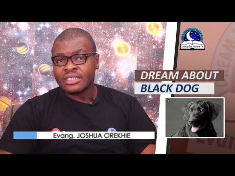 DREAM ABOUT BLACK DOGS - Find Out The Biblical Dream Meaning