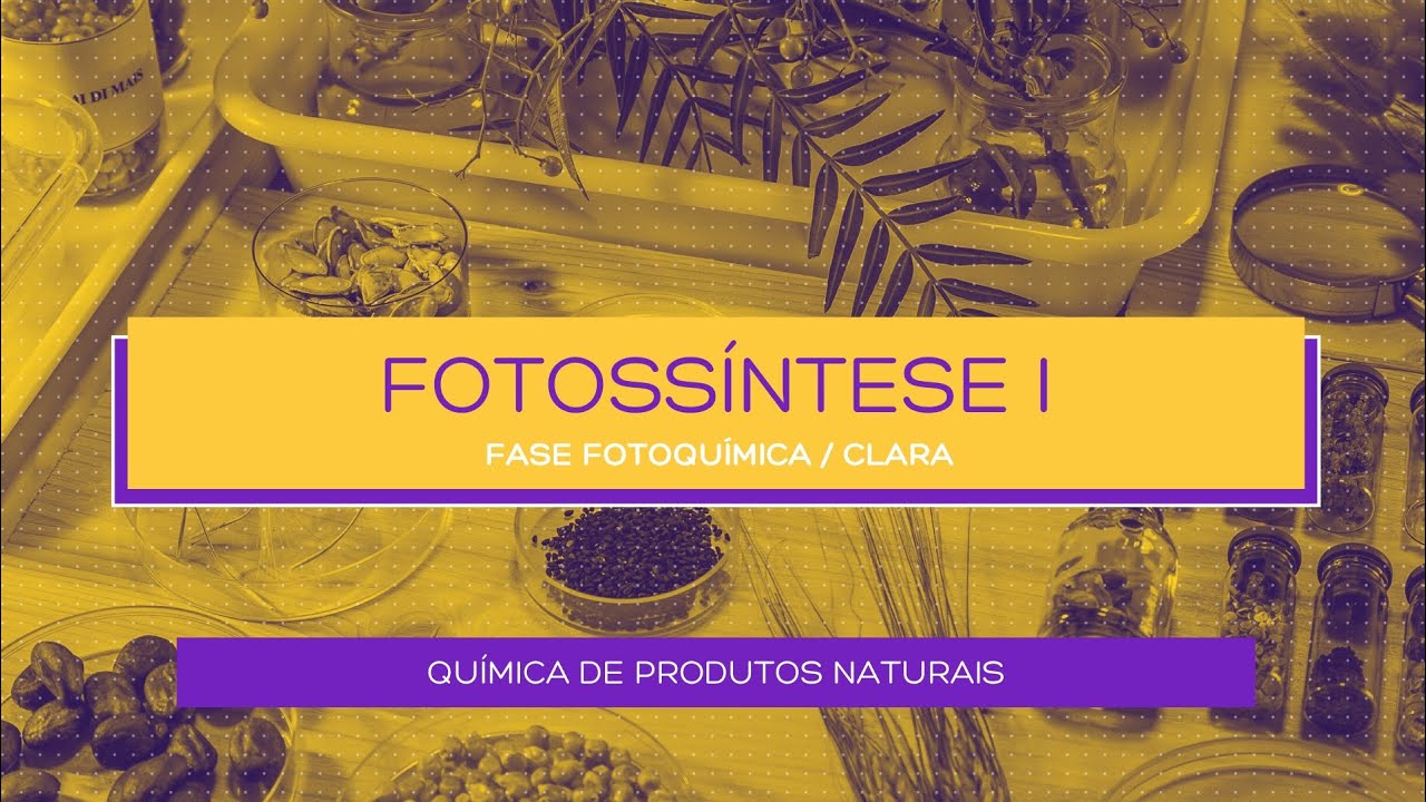 FOTOSSÍNTESE I - FASE FOTOQUÍMICA/CLARA - QUÍMICA DE PRODUTOS NATURAIS