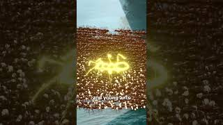 Download lagu How Ant Colonies Evacuate During Floods 🤔 mp3 Download lagu How Ant Colonies Evacuate During Floods 🤔 mp3