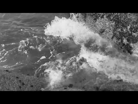 whats is this please