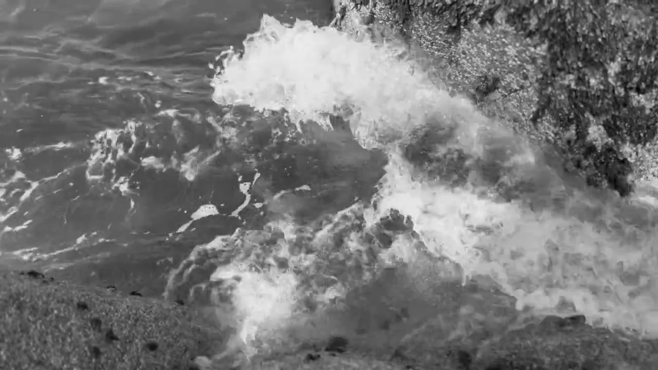 whats is this please