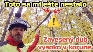 Download lagu Tree hanging in the crown | We are starting to harvest in a new stand | Stihl ms 400.1 C-M | Amles | mp3