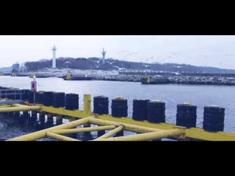 BJN x JAGŁA - DEMONY prod. LEUKOCYTOWATY