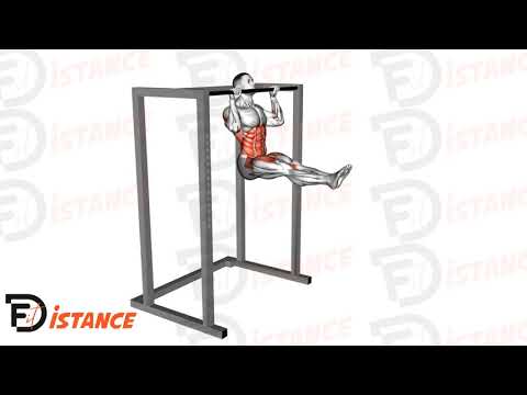 Exercice Tractions L-sit