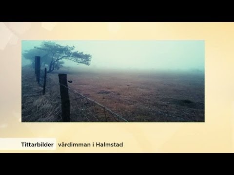 Sophia Nilsson visar tittarnas väderbilder - Nyhetsmorgon (TV4)