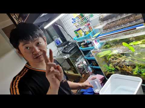 柱狀病ptt