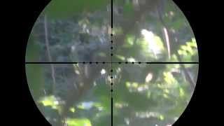 preview picture of video 'SMT Airsoft Sniper Scope Cam  06 - VSR10 Marui (1 joule/330 fps)'