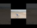 Your Favourite Flip Jugnu Badshah New Trending Song Viral Youtube Shorts Video Flips Stunts Parkour