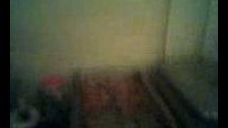 [Malo&#39;s spread (food is Porn) and The Buzzcocks] Phone Video