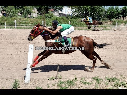 ADAMS KET - Repechaje Polla Potrillos Haras El Quebracho, Goya, Ctes. 12.11.17