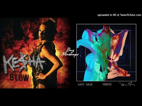 Blow Up Venus! (Lady Gaga x Kesha Mashup)