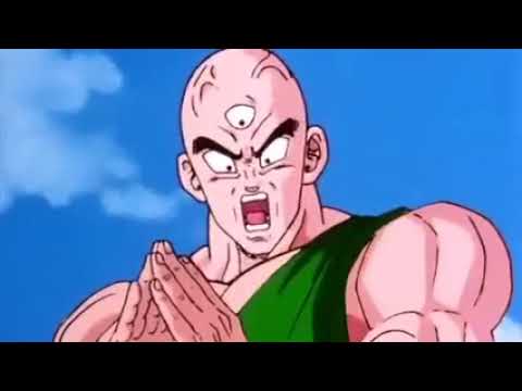 Dragon Ball Z Tien Tri Beam Cell fight