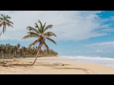 Mix Music Chillout - Relaxing Deep House 2020 #1 by HitBasse