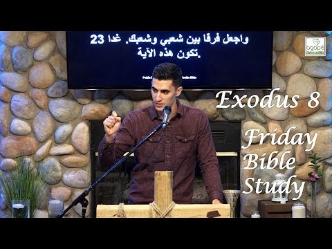 Exodus 8 Bible Study (Second, Third & Fourth Plagues: Frogs/Gnats/Flies) | Pastor Daniel Batarseh