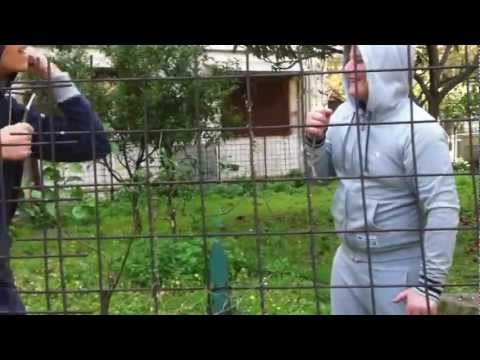 i nuovi enzo caradonna e mauro nardi