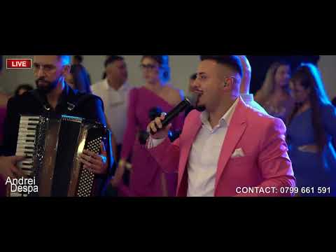 Andrei Despa - Sunt sofer si viata imi place Live la nunta | Formatia Andrei Despa