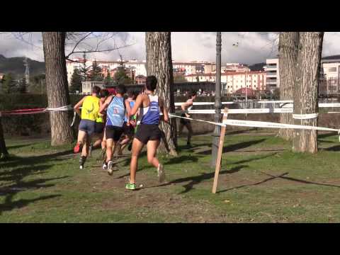 XXIII Cross Hiru-Herri Veteranos A y Promesa-Sénior Masculino