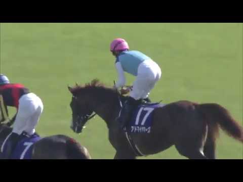 2019 NHK Mile Cup (G1)