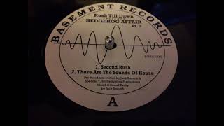 Rush Till Dawn Presents Hedgehog Affair Pt. 2 - These Are The Sounds Of House