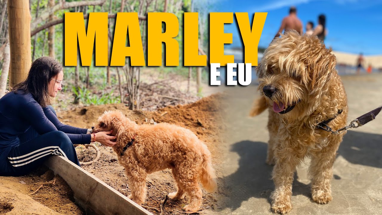 Marley (14 anos 🐶) no mato?! 😱 Aventura de um cachorro idoso!