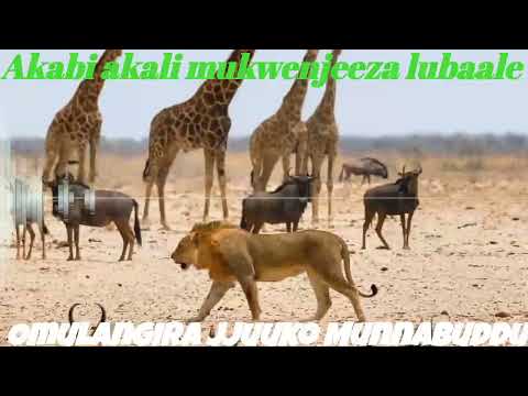 Okuloota Obutiko kitegeeza ki? - Omulangira Jjuuko Munnabuddu