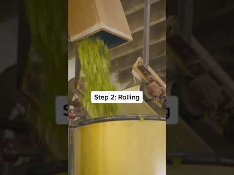 ヨーロッパ最古の茶畑 (Oldest Tea Farm In Europe)