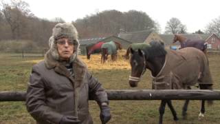 שואה | תיעודי | אגי לויזון, המסתור בחווה הדנית