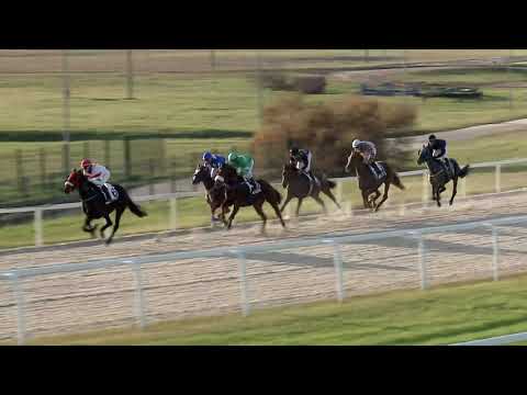 2019.11.17. 07. futam - KINCSEM PARK DÍJA (I.kat.) (szintetikus pálya)