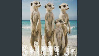 Summer Time Love (Instrumental)