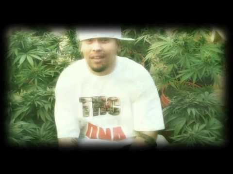 Sabotawj   Haze ft Z2DAO   YouTube