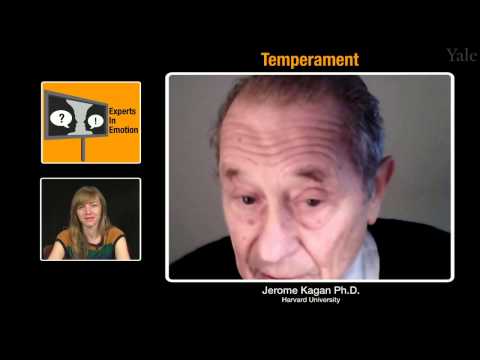 Jerome Kagan on Temperament