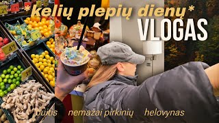 plepus kelių dienų vlogas -  siaubo parkas ir plius pasirodo turiu problemėlę