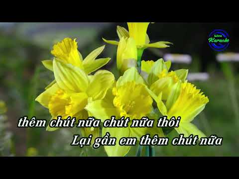 Chờ Ngày Anh Nhận Ra Em Thùy Chi (Karaoke Hạ Tone)