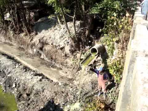 Poluare Valea Racilor 1