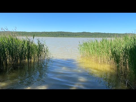 Vlog aus Binz 2023 #02 - Rundgang um den Schmachter See