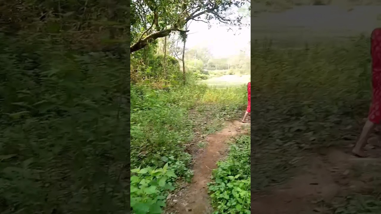 my first time blogging #viralvideo #shorts#