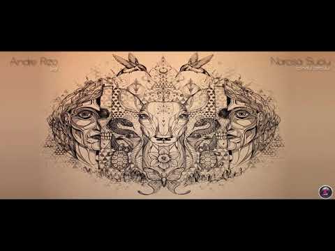 Andre Rizo feat  Narcisa Suciu   Colindul cerbului original mix