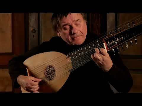J. S. Bach - Cello Suite no. 4 (BWV 1010) - Edin Karamazov , Lute