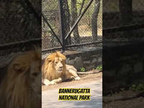 Motivational Video 1