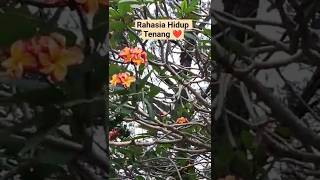 Download lagu Motivasi Kehidupan #motivasidiri #dakwahsampaiarwah #motivasi #catatanmotivasi #inspirationalquotes mp3 Download lagu Motivasi Kehidupan #motivasidiri #dakwahsampaiarwah #motivasi #catatanmotivasi #inspirationalquotes mp3