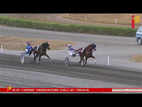 VII Corsa del 16 Settembre 2023 - 4 Anni F - Metri 1000