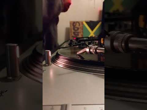 Reggae classic vol 770.INDIKA SOUNDS.🙏🎤🎤🎵💯👍👍📖🎚️🎶🎛️🎚️📖📖🎧🔥🔥👌👌😎🎛️🙏