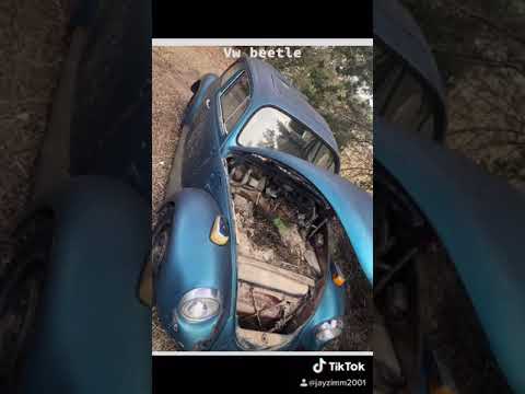 VW Beetle rescue