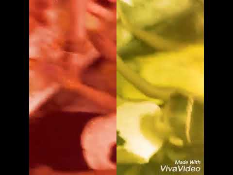 Birthday to sweet poorvi singh