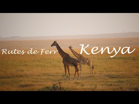 download lagu mp3 mp4 els Diani Beach Mombasa Kenya, download lagu els Diani Beach Mombasa Kenya gratis, unduh video klip els Diani Beach Mombasa Kenya