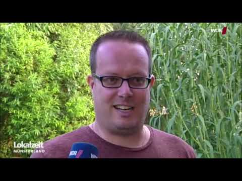 Lokalzeit Münsterland   Garten Seggewiß 14 07 2017