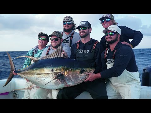 Using Baby Tuna to Catch BIG TUNA